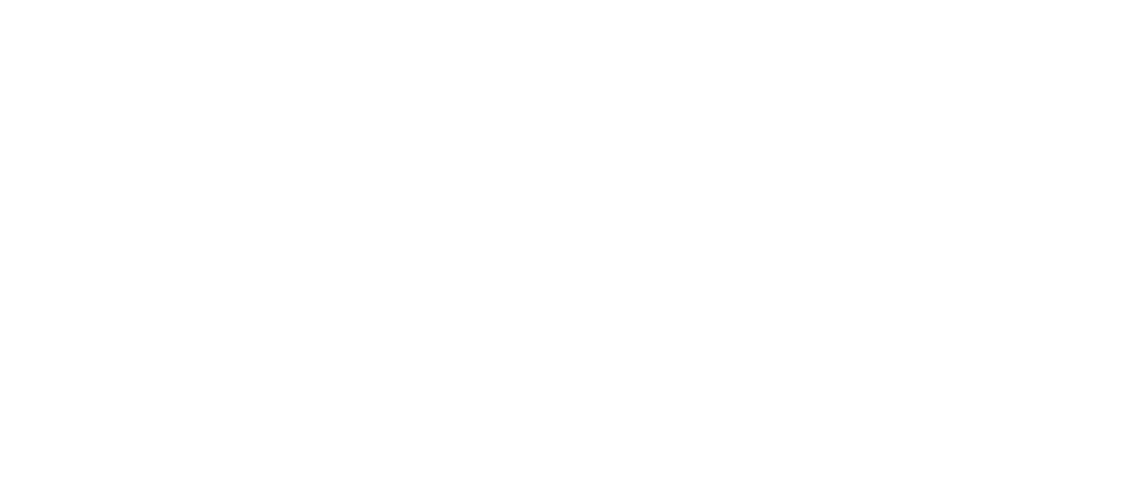 NPORS Logo